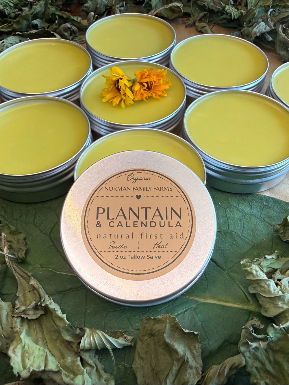 Grass Fed Tallow Salve Plantain & Calendula - 2oz + free travel size & spatula